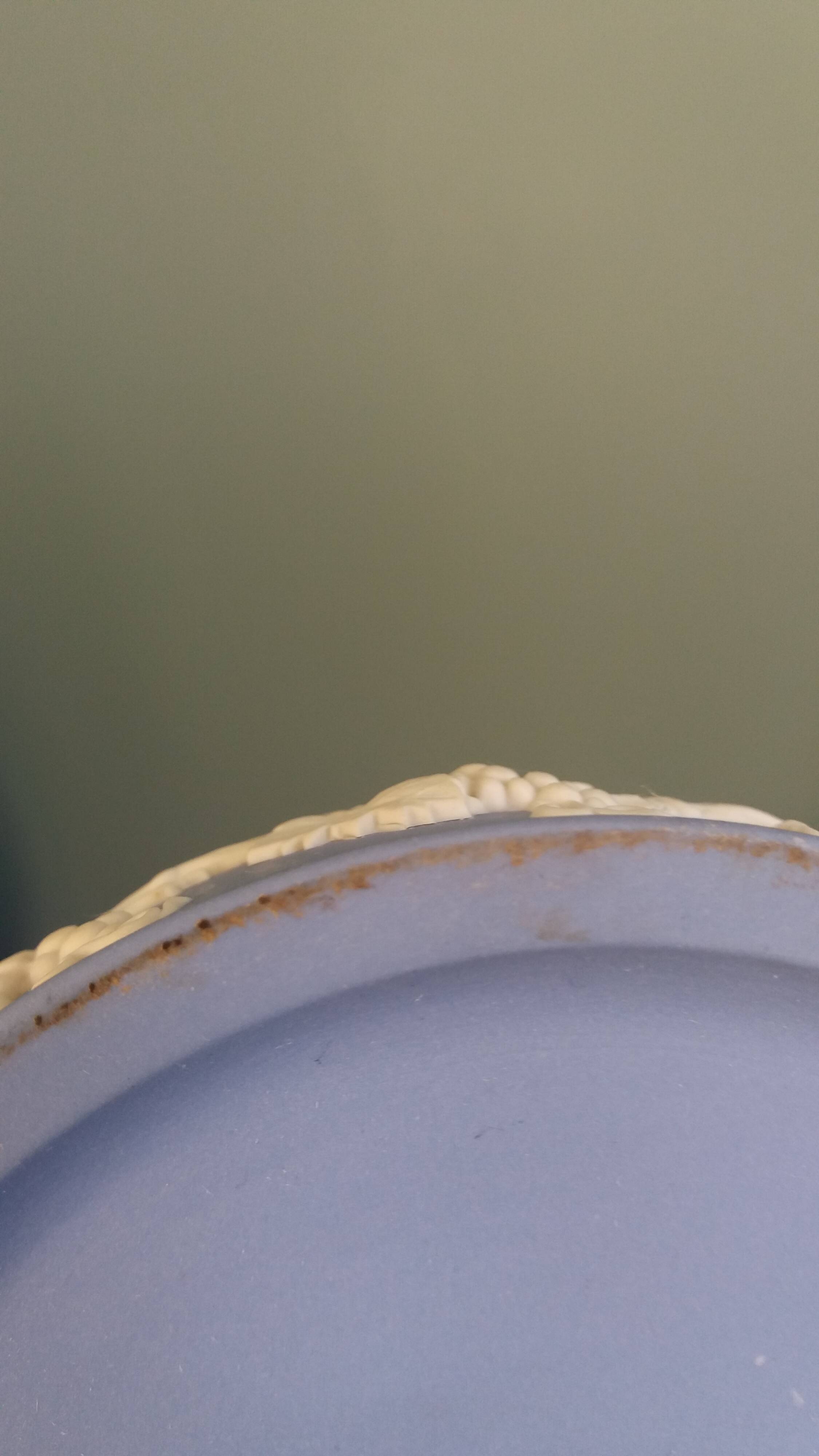 Wedgwood jasperware sweet box