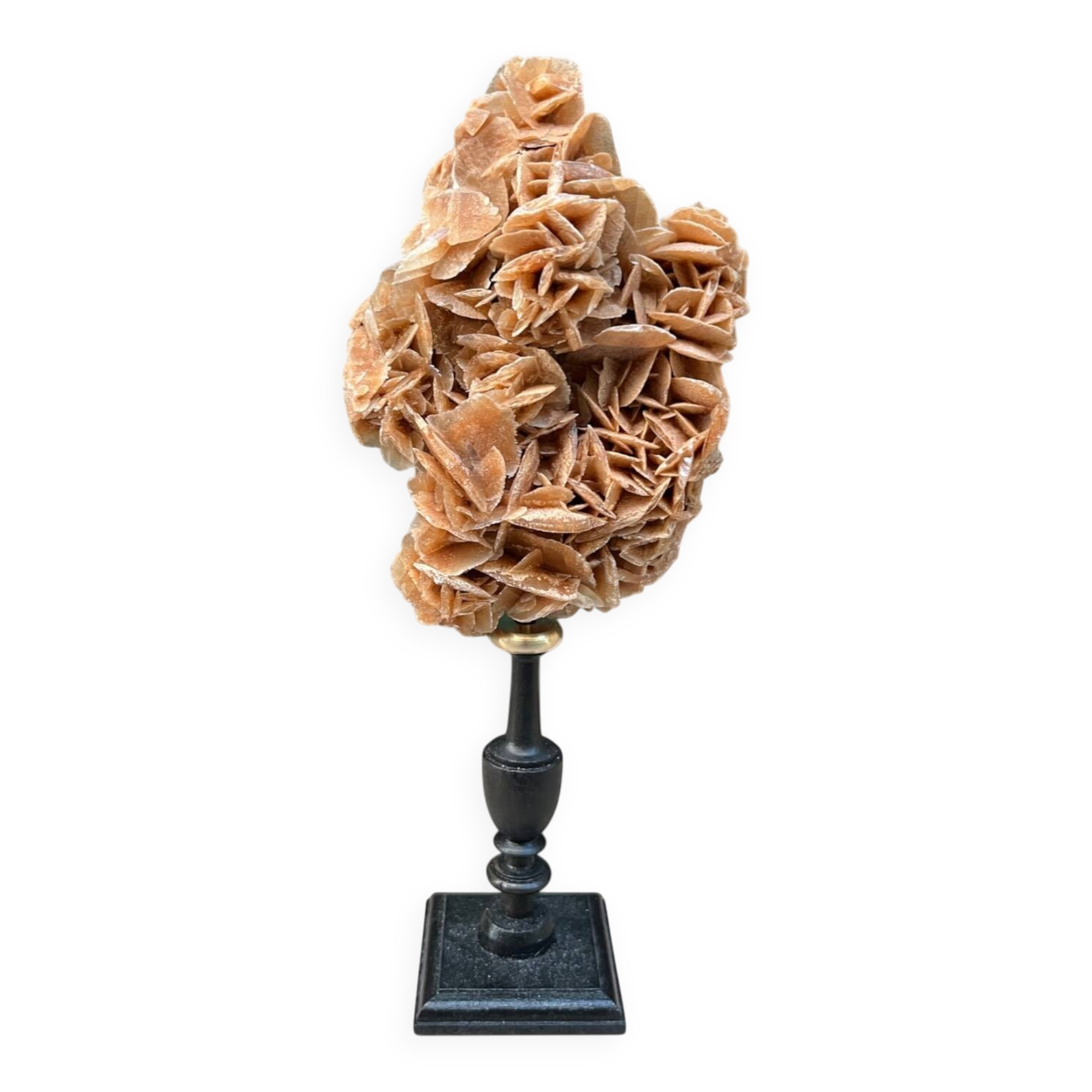 Sand rose on a turned black wooden base, late 19th century curiosities.