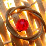 Suspension Poisson of the Mid-Century, 1960s