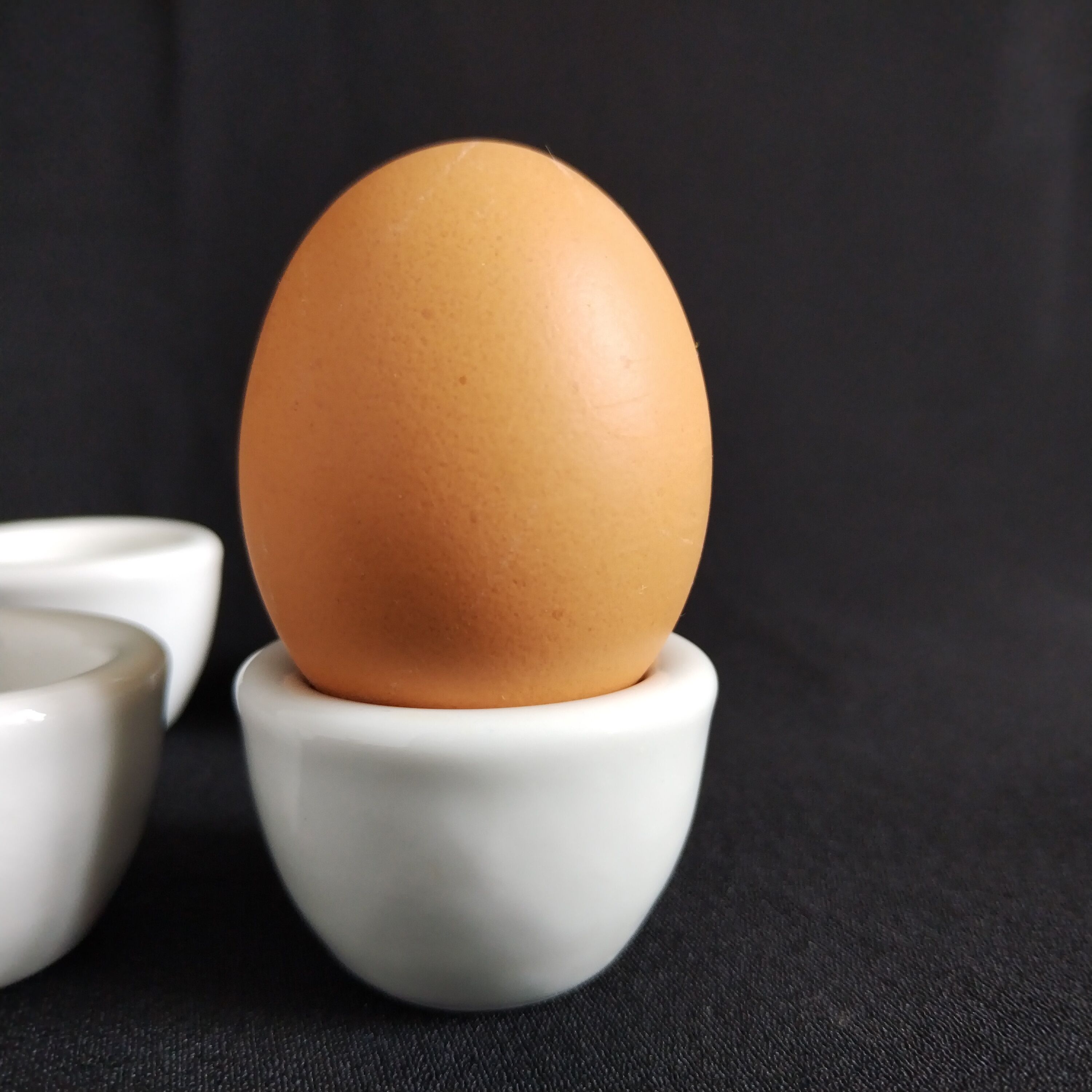 Set of 6 shells in white French porcelain, renowned brand PILLIVUYT since 1818