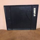 Elephant illustration