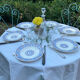 6 assiettes plates Longwy Rouennais