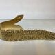 Large worked brass coat hook