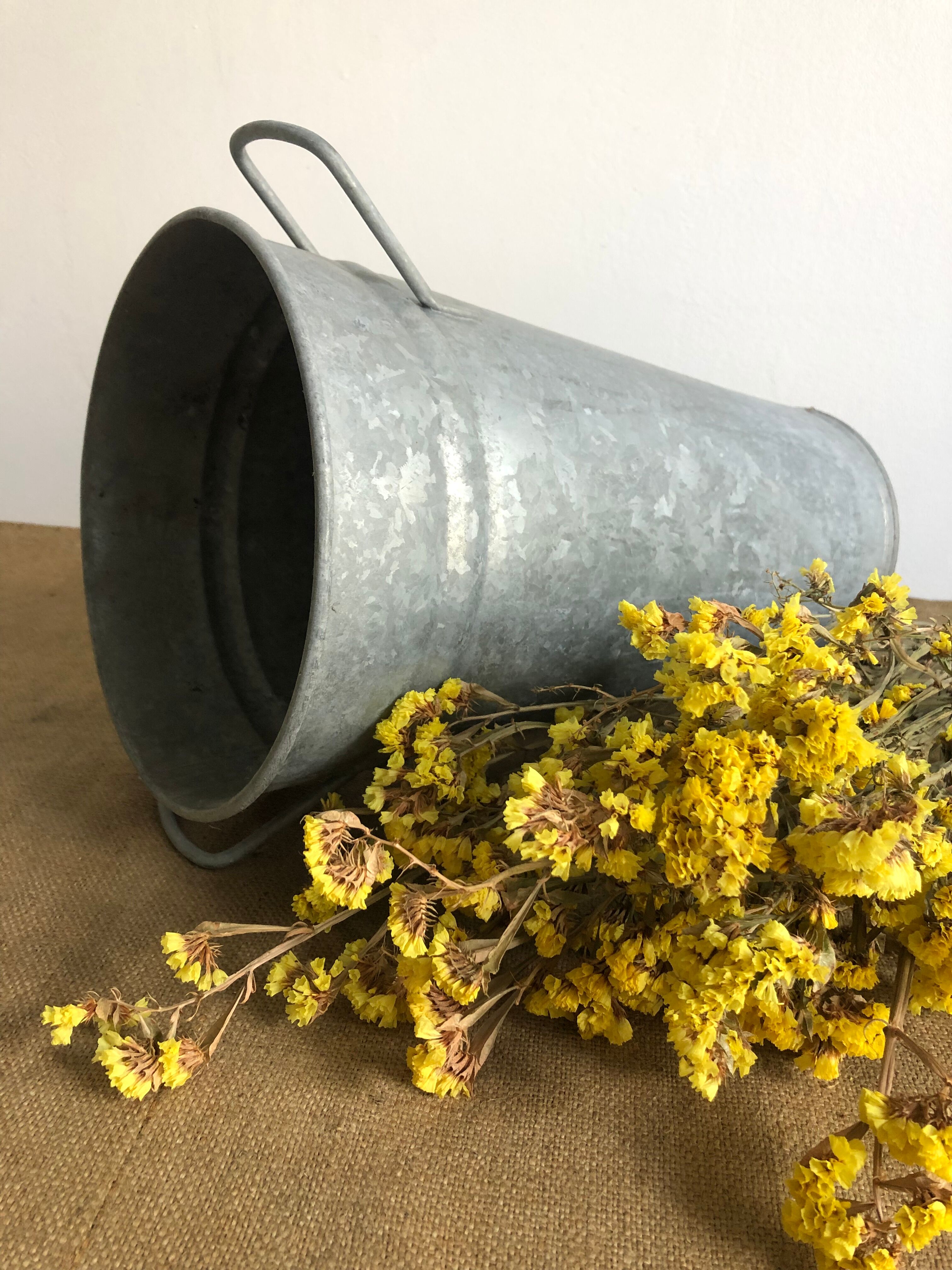 Large florist pot with handles, zinc, galva