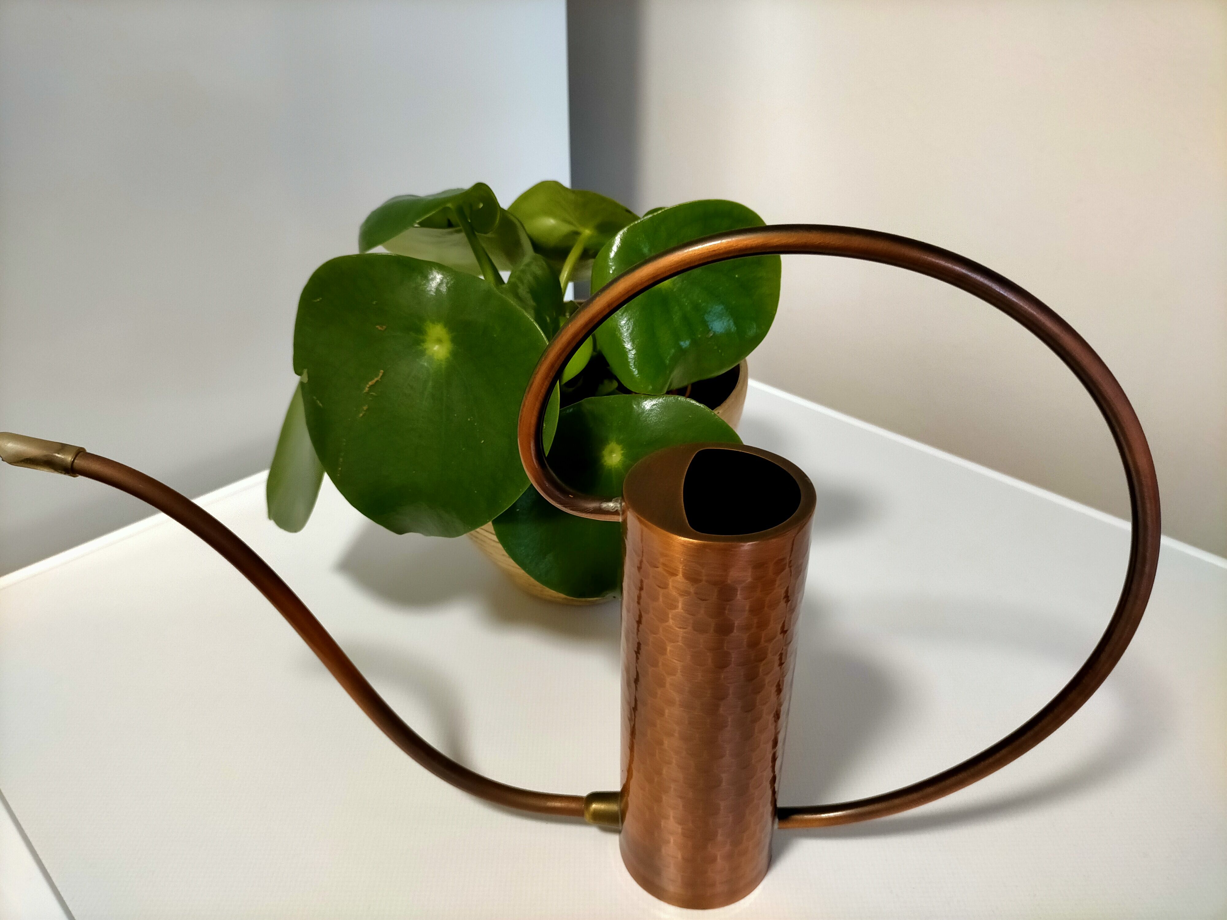 Hammered copper watering can