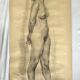 Large drawing of a nude woman signed around the 1940s dimension: height -150cm- width -80cm-