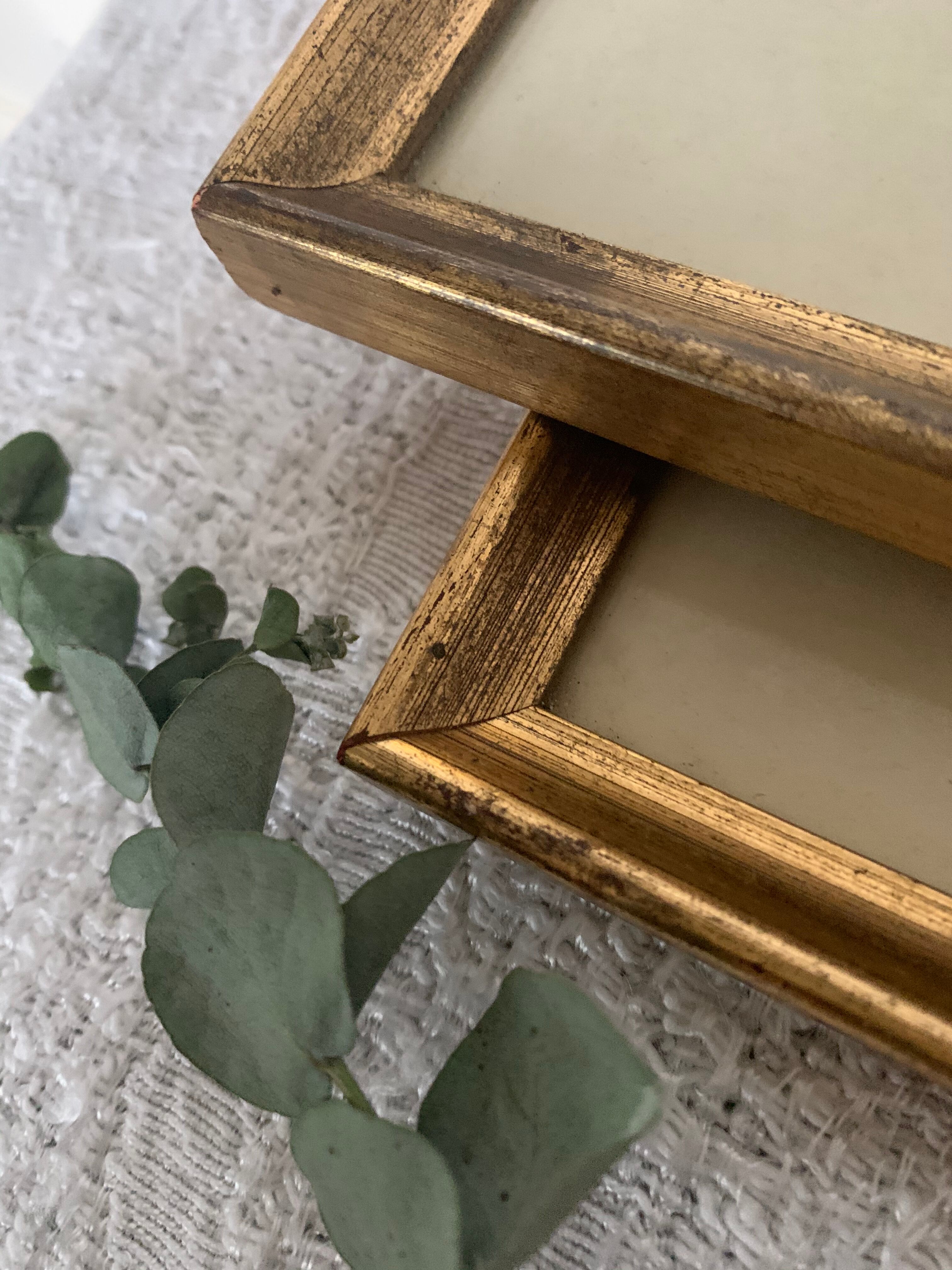 2 old John Gould illustrations