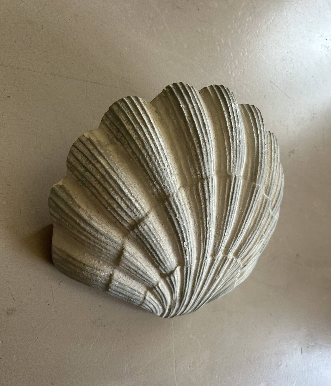Applique coquillage en plâtre ancienne
