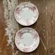 Assiette plate campanule rose x2