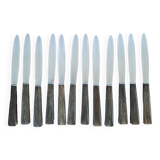 Set of 12 horn handle knives