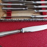 Set of 12 small knives in silver metal and stainless steel from the Ravinet d'Enfer Paris brand