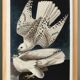 Poster about the Gyrfalcon, based on an old engraving from 1827.