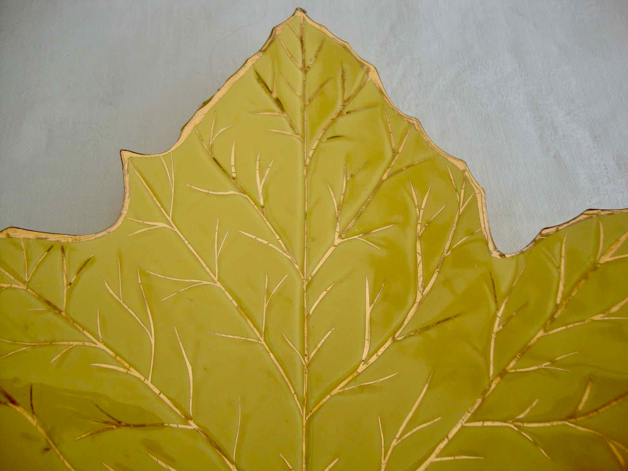 Trinket plate plane tree leaf