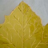Trinket plate plane tree leaf