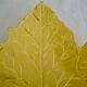 Trinket plate plane tree leaf