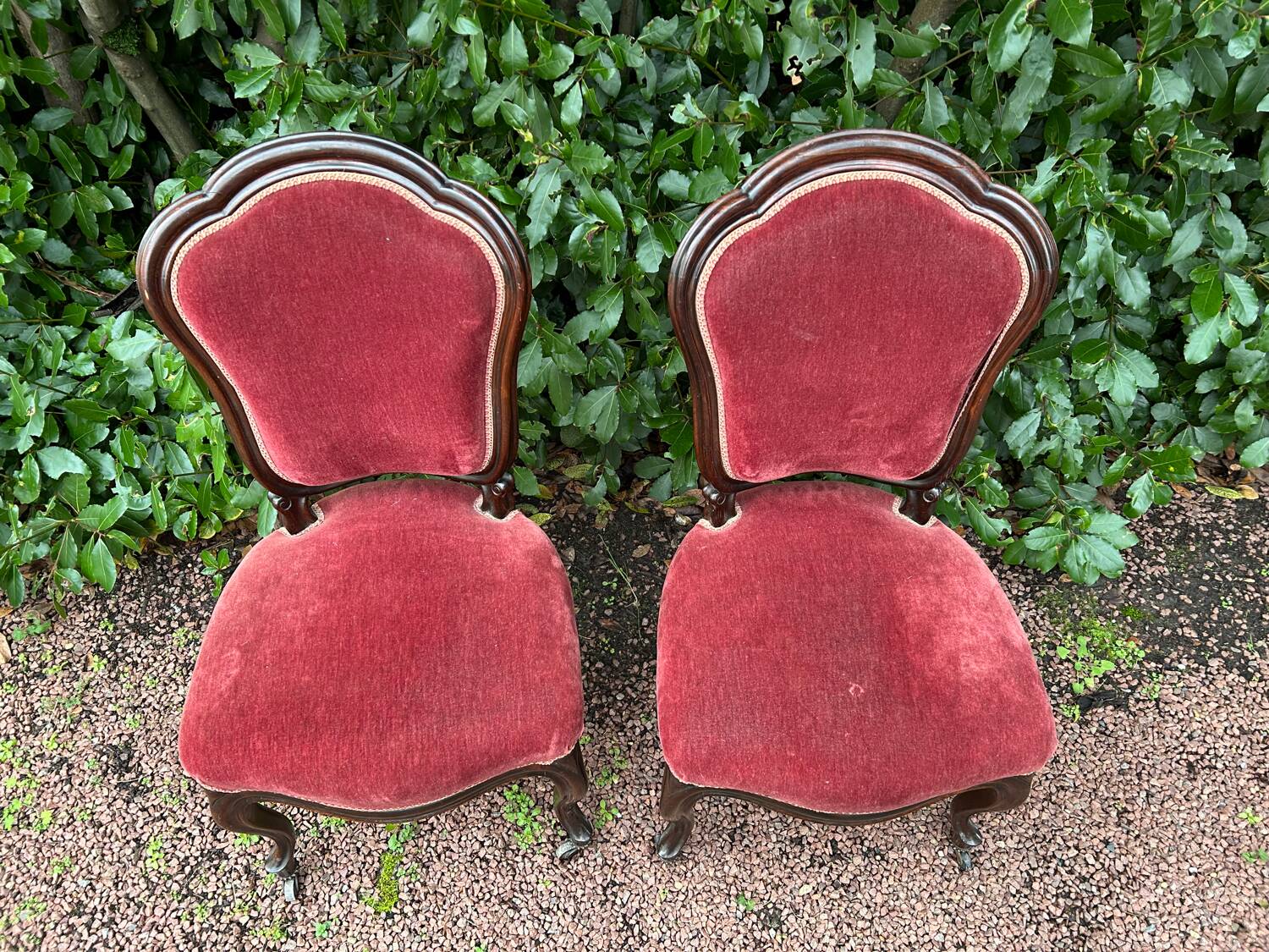 Napoleon III mahogany chair