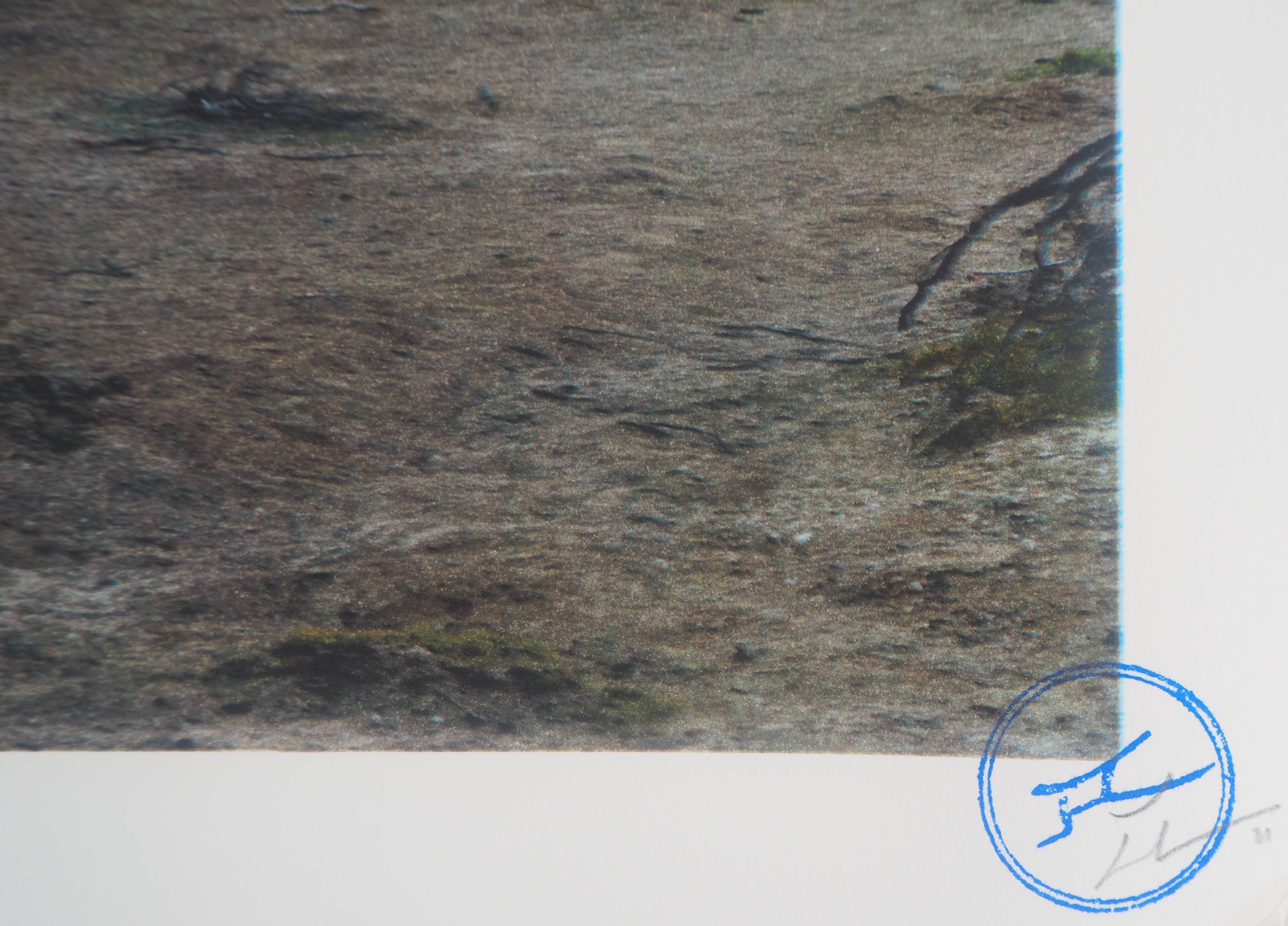 Original signed lithograph by JR: Death Valley, 2021