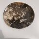 Medium petrified wood dish or pocket emptier, predominantly gray 1137