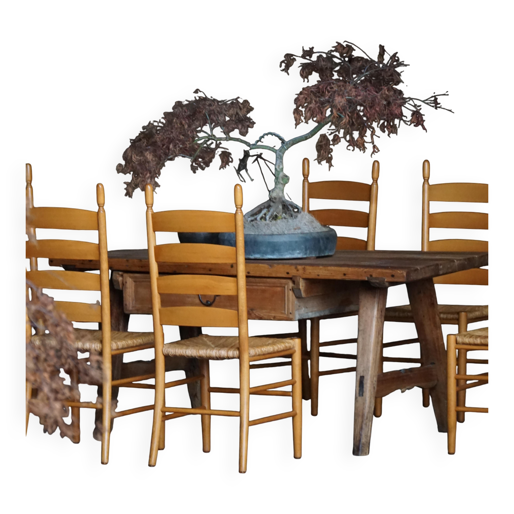 Set of 8 modern Italian dining chairs, beech with woven seats, 1960s.