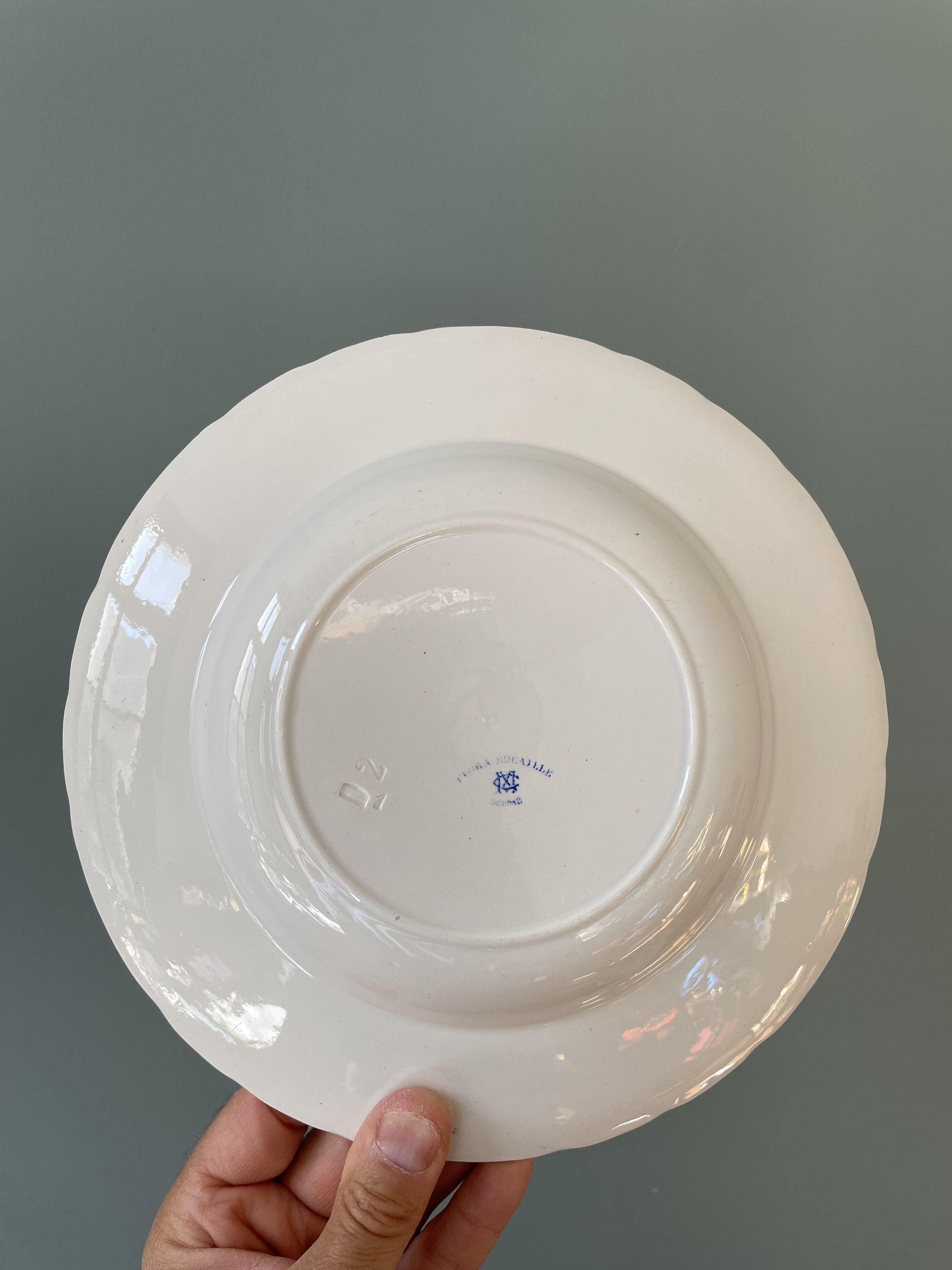 Service of 8 hollow plates Flora Rocaille Creil and Montereau