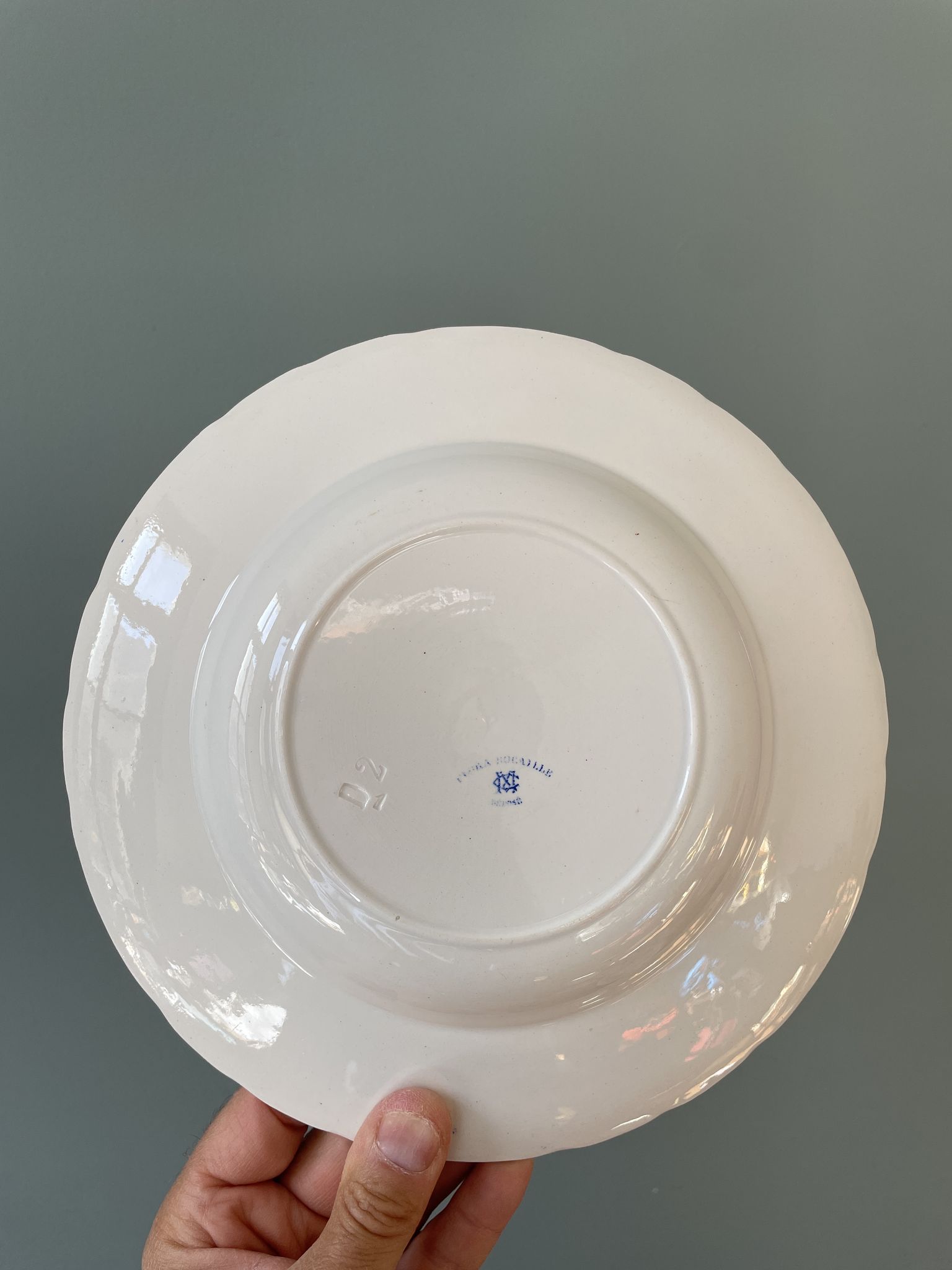 Service of 8 hollow plates Flora Rocaille Creil and Montereau