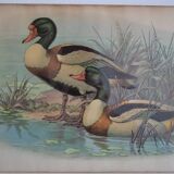 Vintage animal print ducks