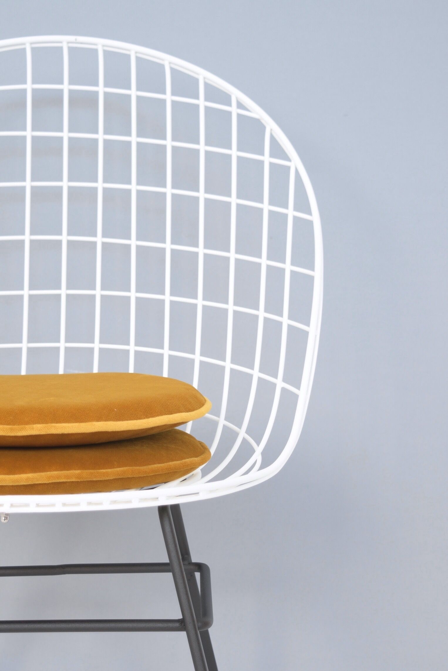 Two chairs ums Pastoe by Cees Braakman & Adriaan Dekker