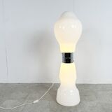Vintage carlo Nason floor lamps, 1960s