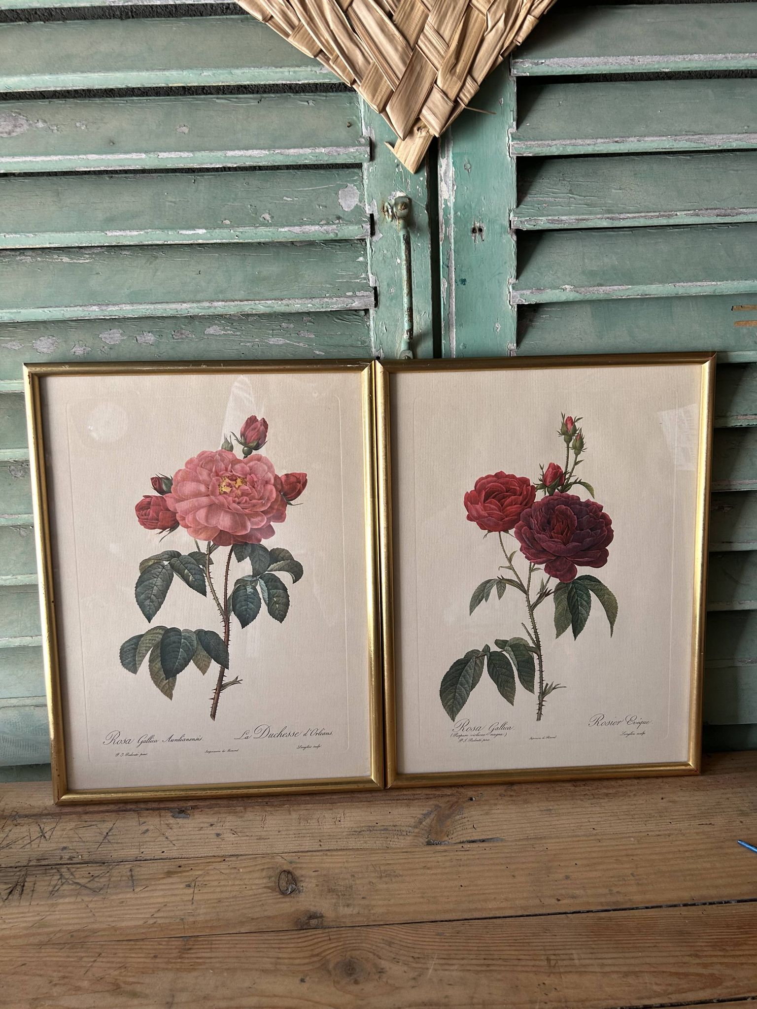 Paire de gravures Redouté