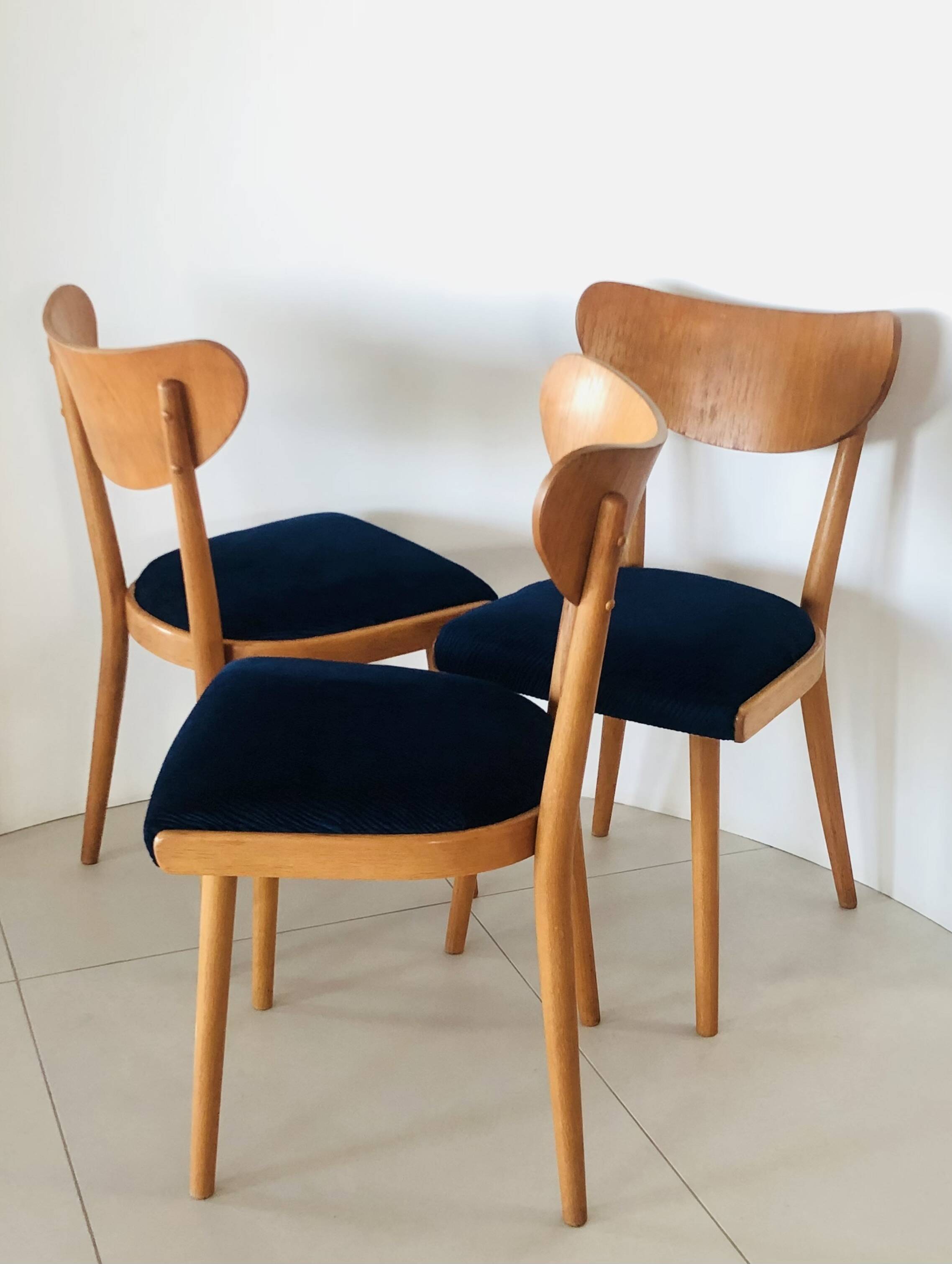 Chaises en bois de hêtre, Tchécoslovaquie années 50