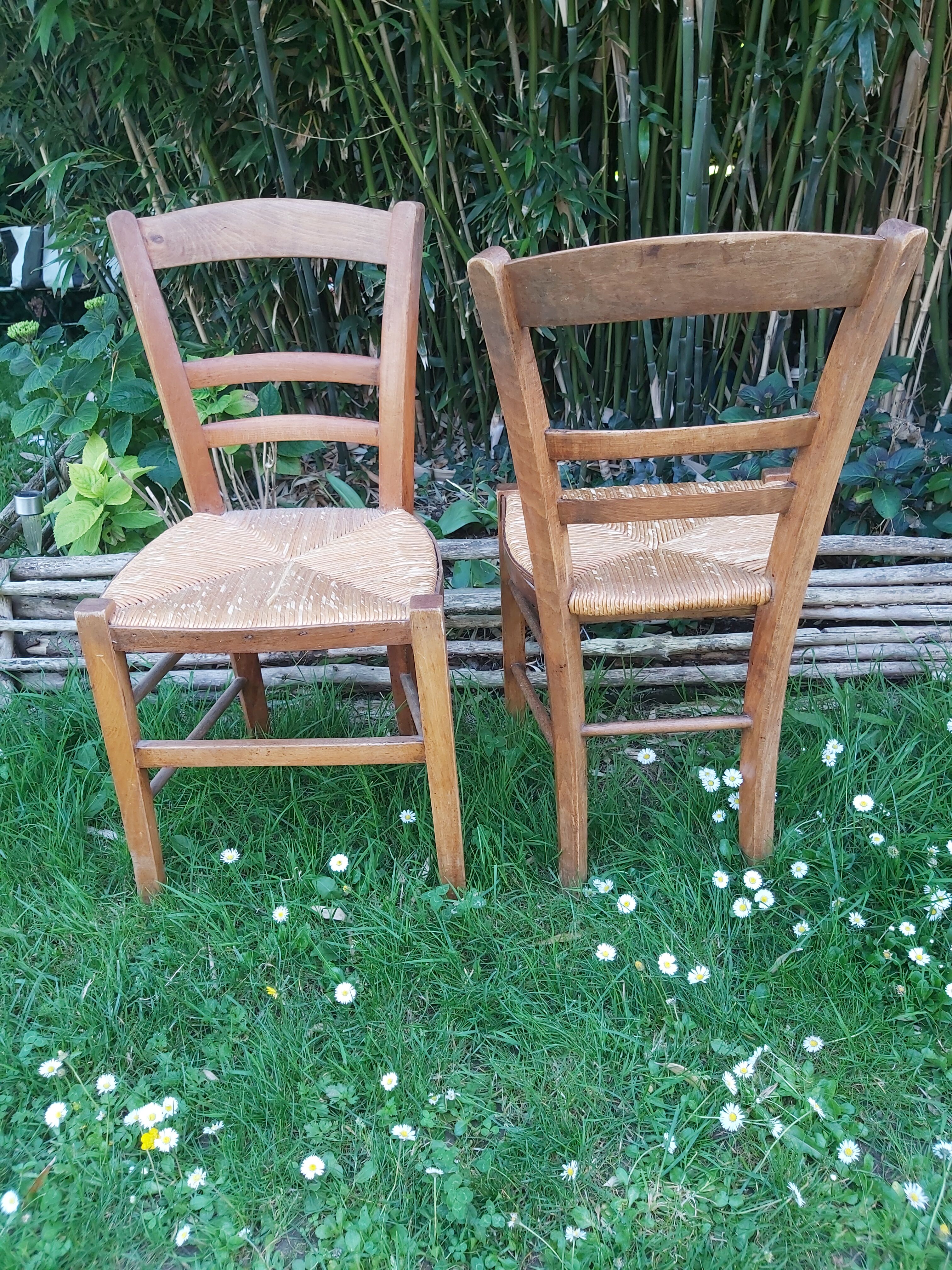 Rush chairs