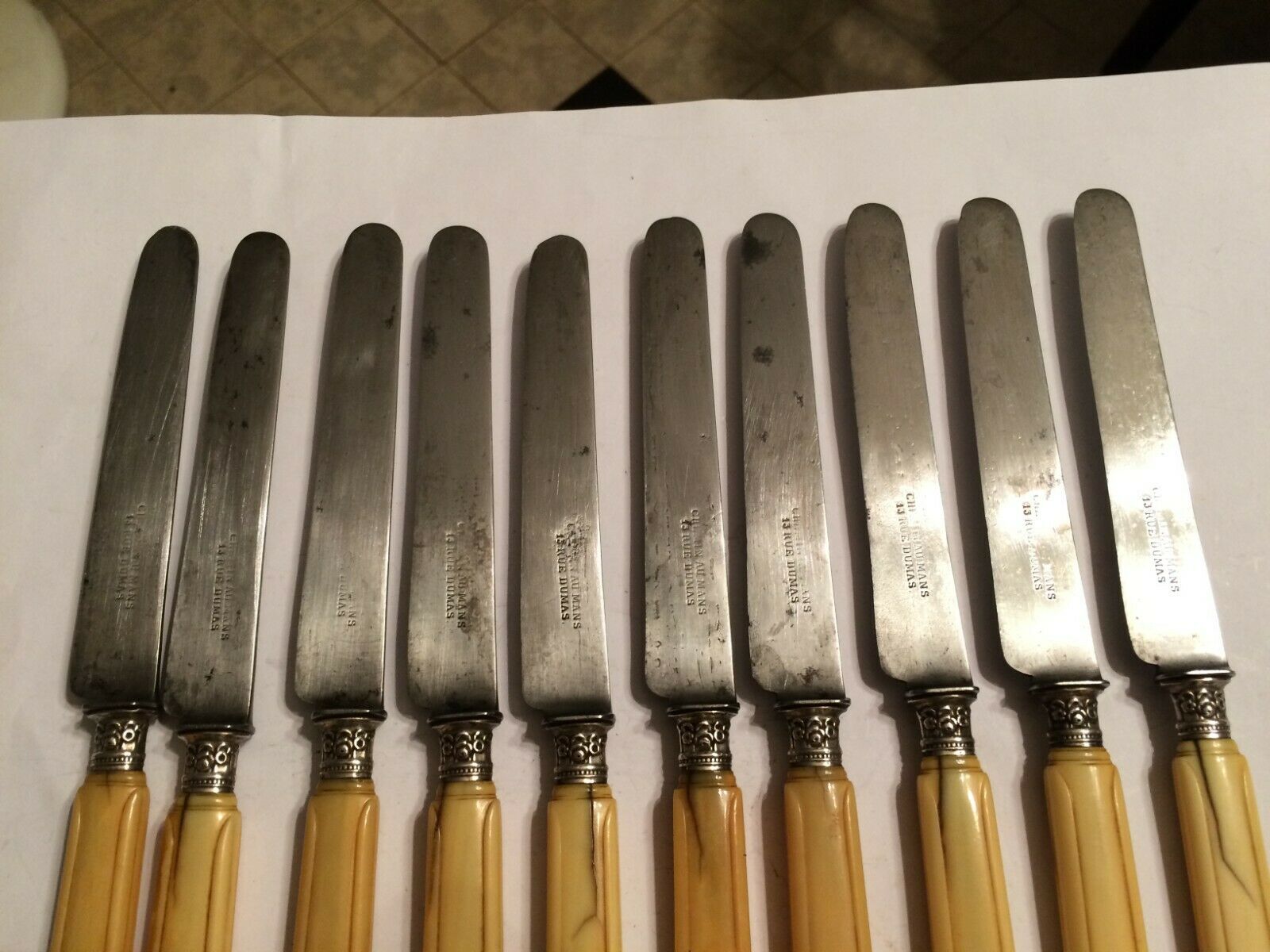 Set of 10 blade knives in steel cheese and dessert