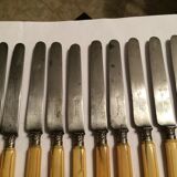 Set of 10 blade knives in steel cheese and dessert