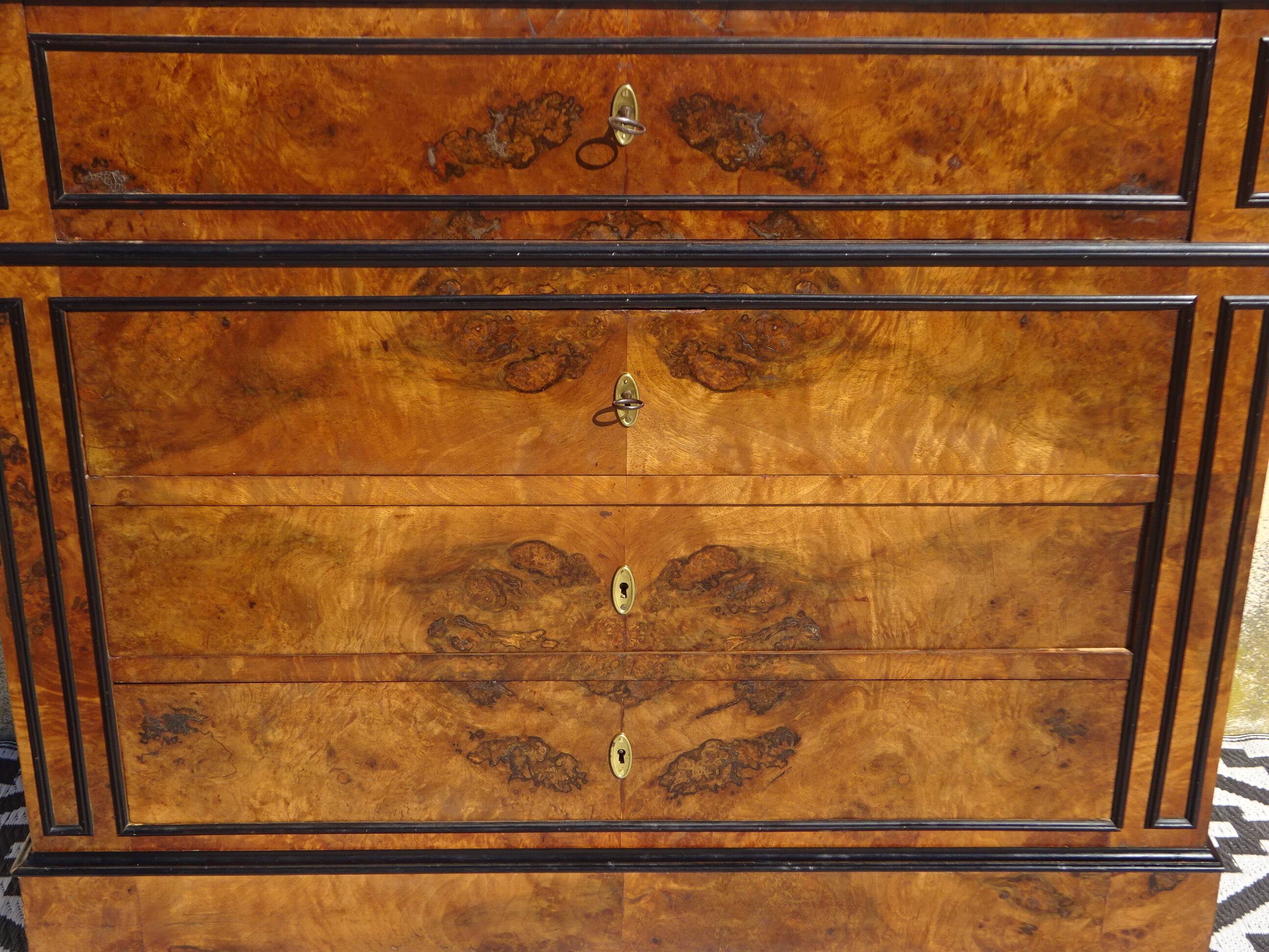 Napoleon III chest of drawers in walnut and burl walnut