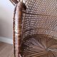 Fauteuil Emmanuelle peacock