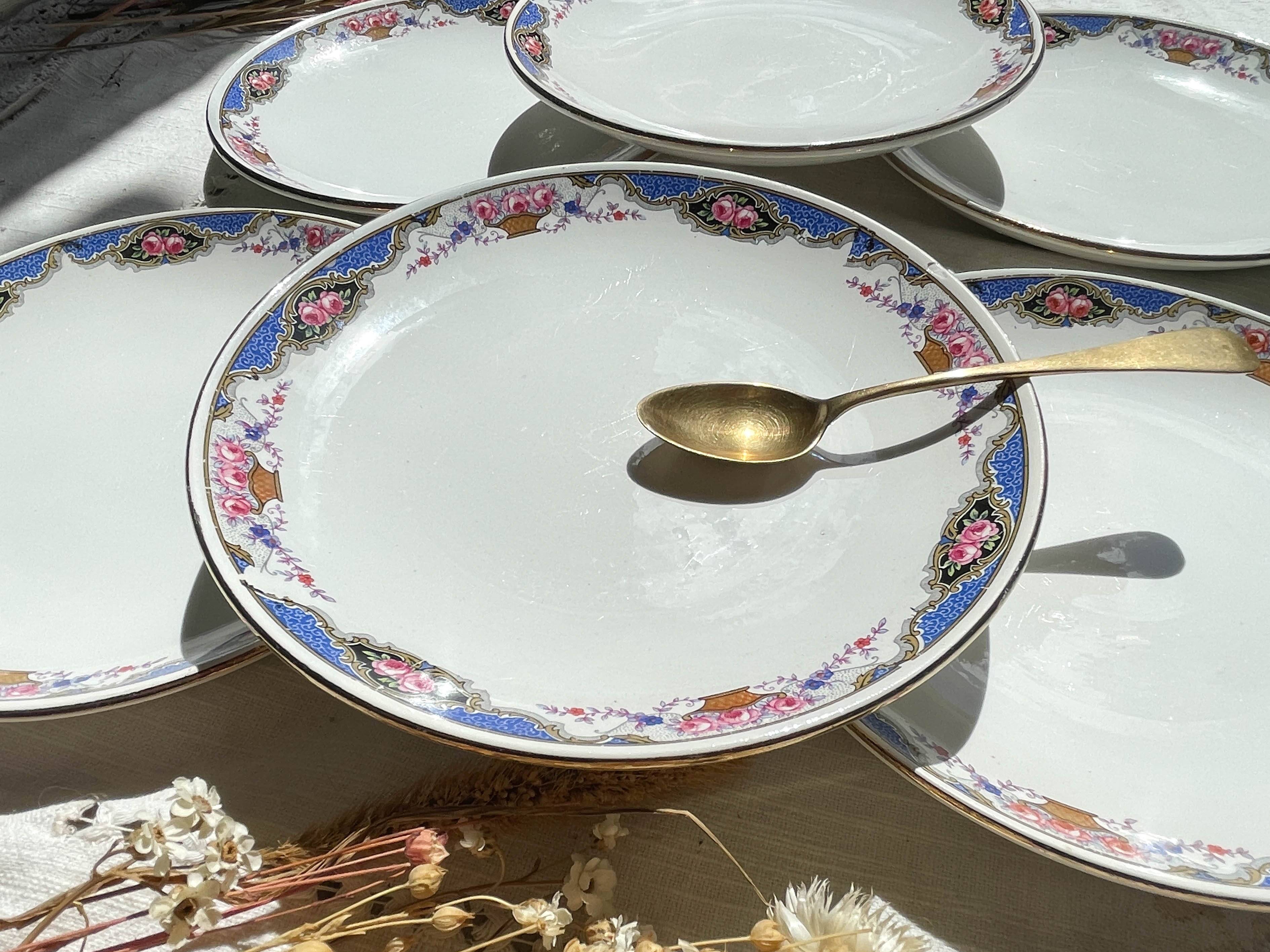 6 Small vintage French DIGOIN SARREGUEMINES flower plates 1950