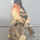 Matte porcelain bird sculpture from Milan by Eda Mann, American Blackbird