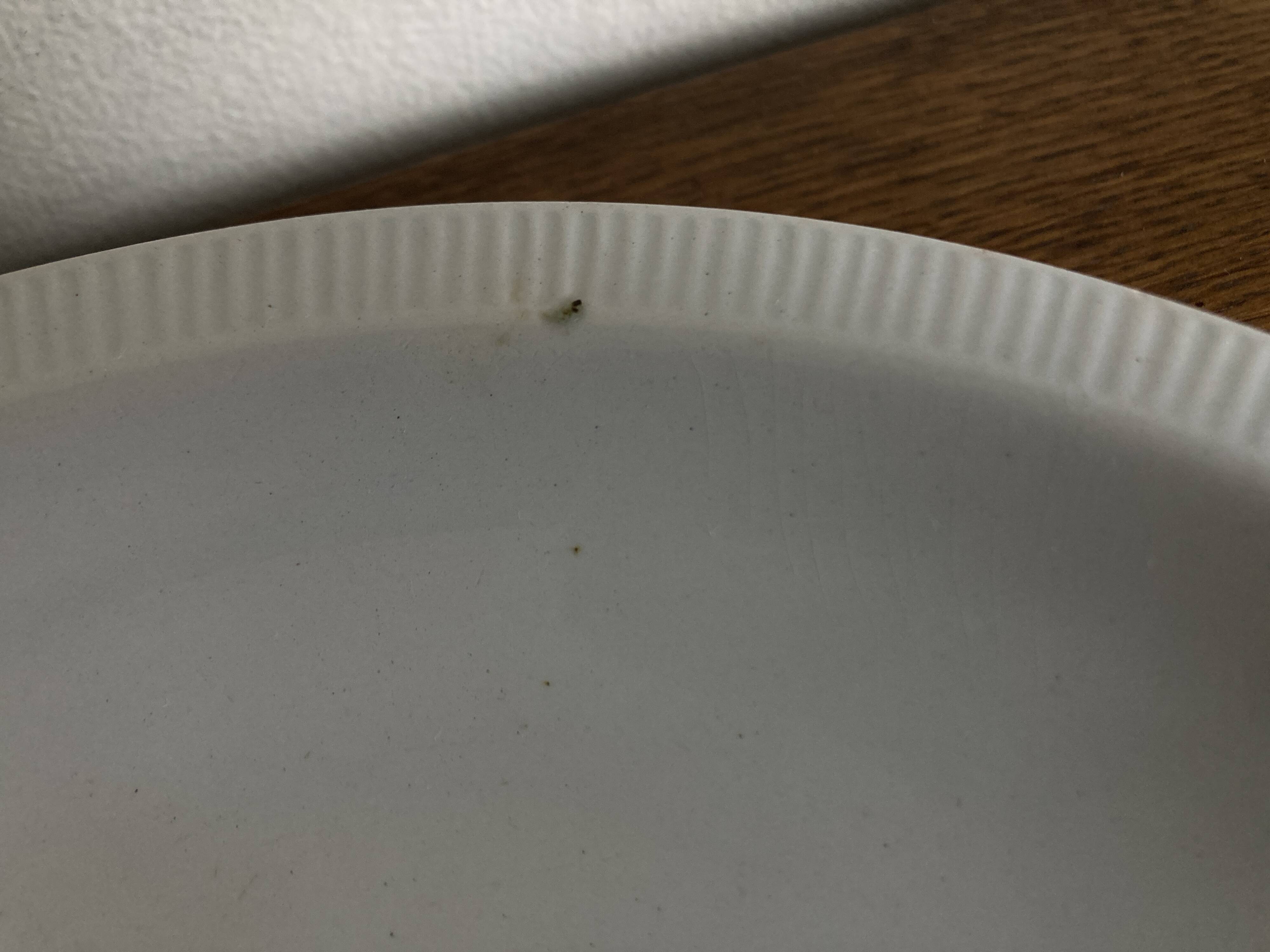 Set of 7 modernist flat plates Lunéville 1930 white earthenware