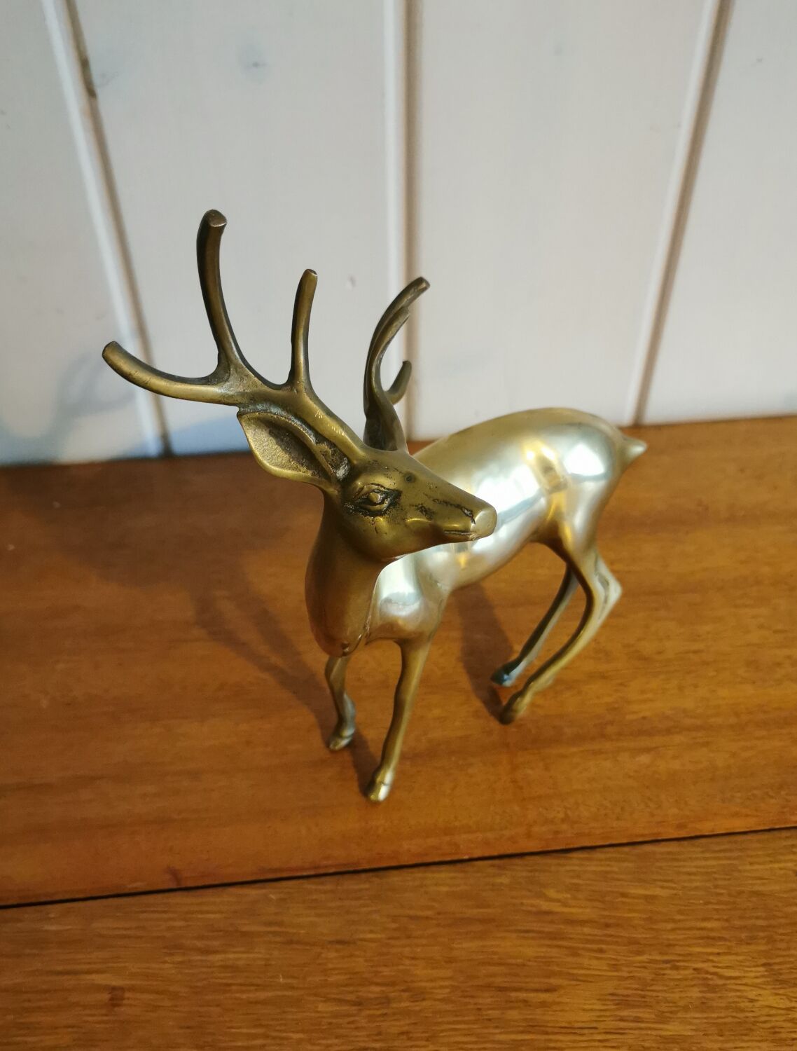 Young golden brass deer