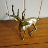 Young golden brass deer