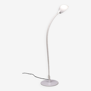 Flex Capo Floor Lamp by Elio Martinelli for Martinelli Luce, Italy, 1972