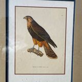 Wooden bird frame