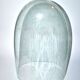 Old globe in blown glass - large oval bell - cabinet of curiosity 36cm