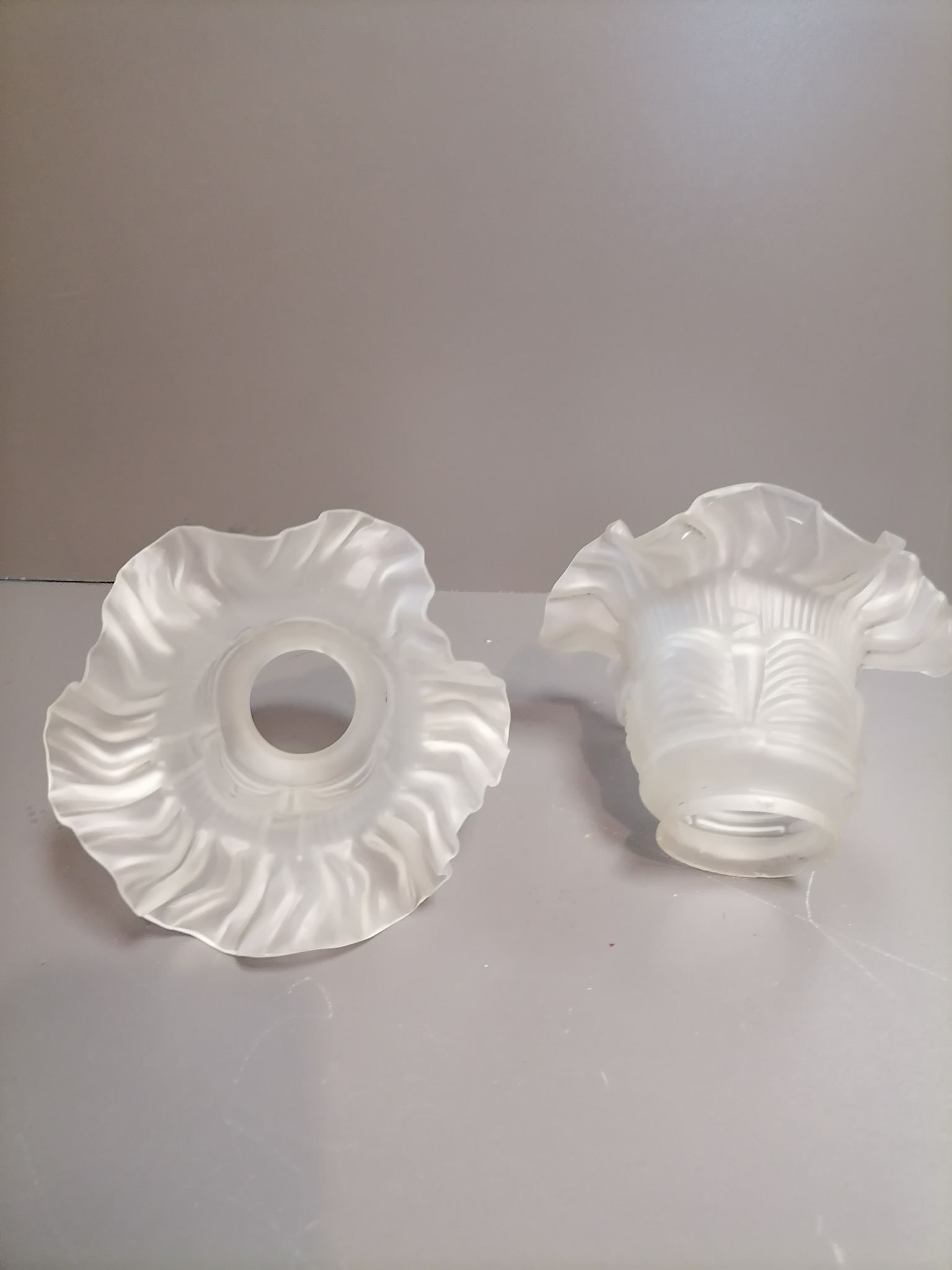 Tulip for Opaque Glass Chandelier