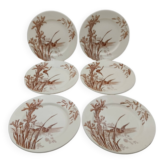 6 Flat plates Service Water lily earth of iron Samaritaine Salins