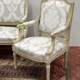 Salon style Louis XVI