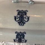 Blue vegetable in iron Earth