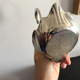 Empty silver swan pocket