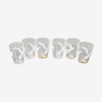 6 anciens verres droits motif plume h 7 cm