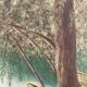 Landscape in oil on canvas signed